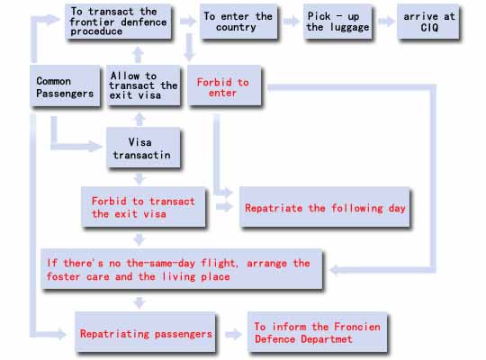 Airport Passenger Flow Chart